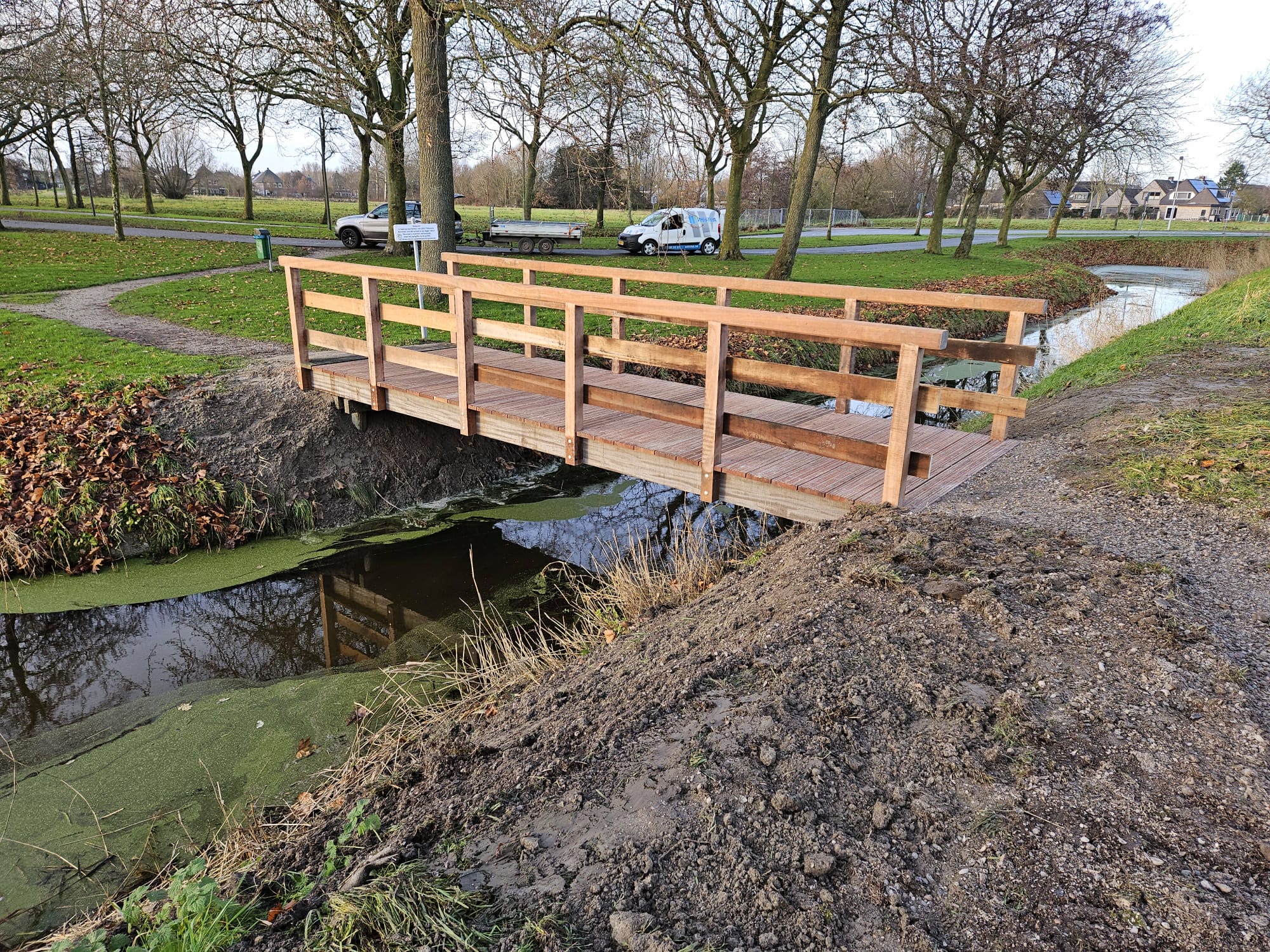 Vlonderpad door het riet — foto 1