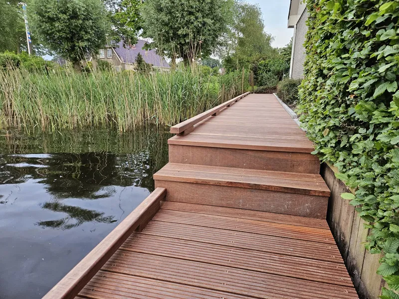 Vlonderpad door het riet