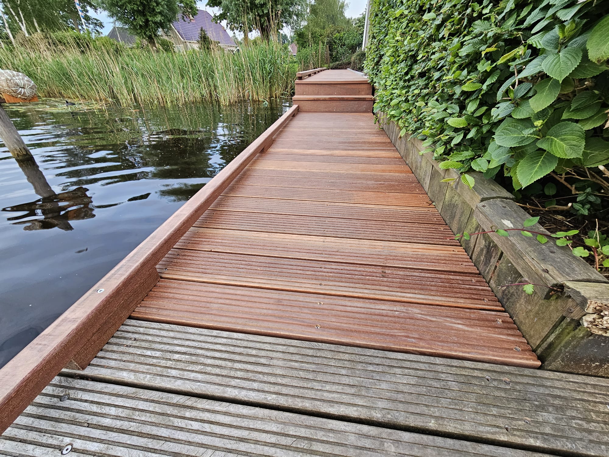 Vlonderpad door het riet — foto 7